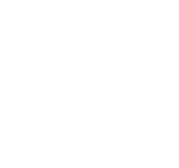 Shadoe logo